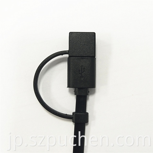 USB Cable with dust cap